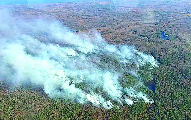 Wildfires in the UP